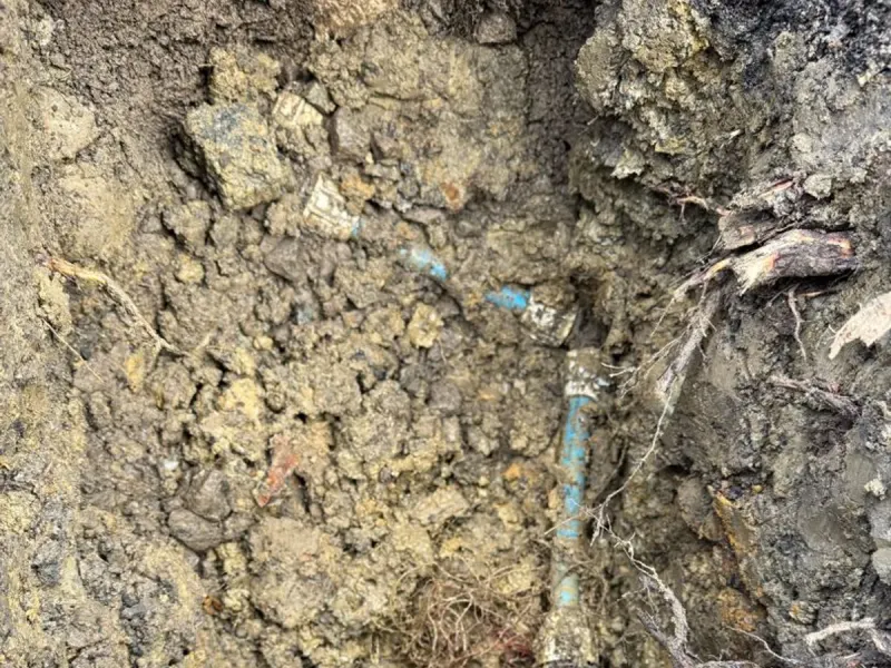 The mains pipe coupling at the boundary where the leak was located